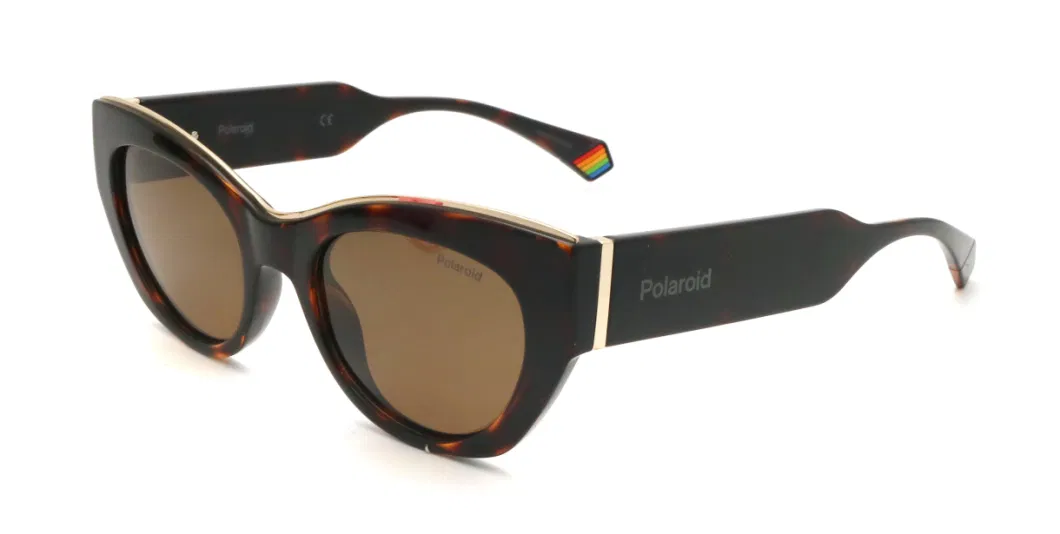 Wholesale Oversized Fashionable Women UV400 Black Sun Glases Colored Sunglasses