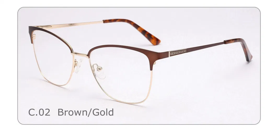 Custom Top Quality Trendy Eyewear Acetate Metal Woman Optical Glasses Frames